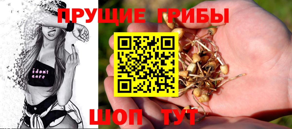 Галлюциногенные грибы мухоморы Сарапул